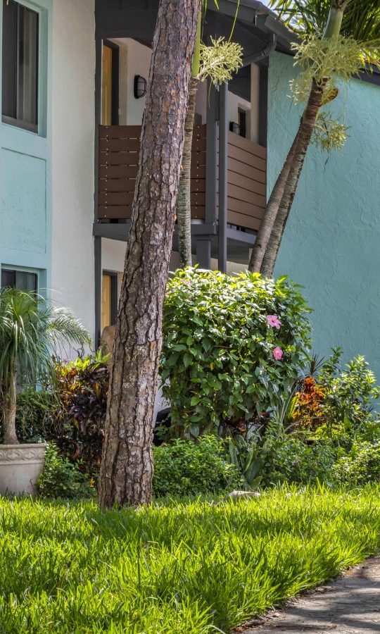 a walkway with trees and bushes in front of a building at The Marino